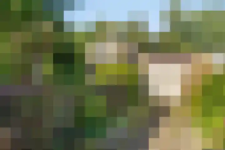 Emmalaan 57 Heerde thumbnail 29