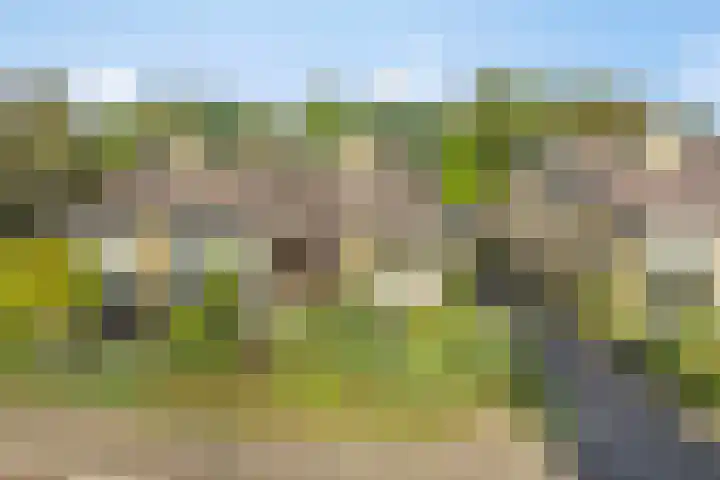 Emmalaan 57 Heerde thumbnail 33