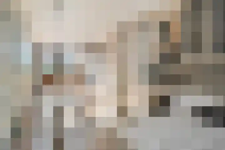 Emmalaan 57 Heerde thumbnail 7