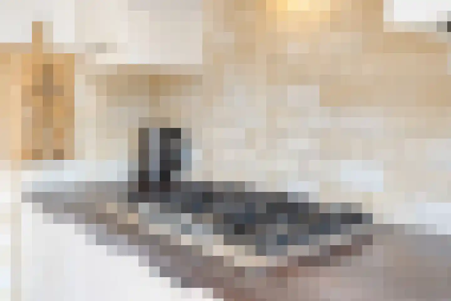Emmalaan 57 Oss thumbnail 14