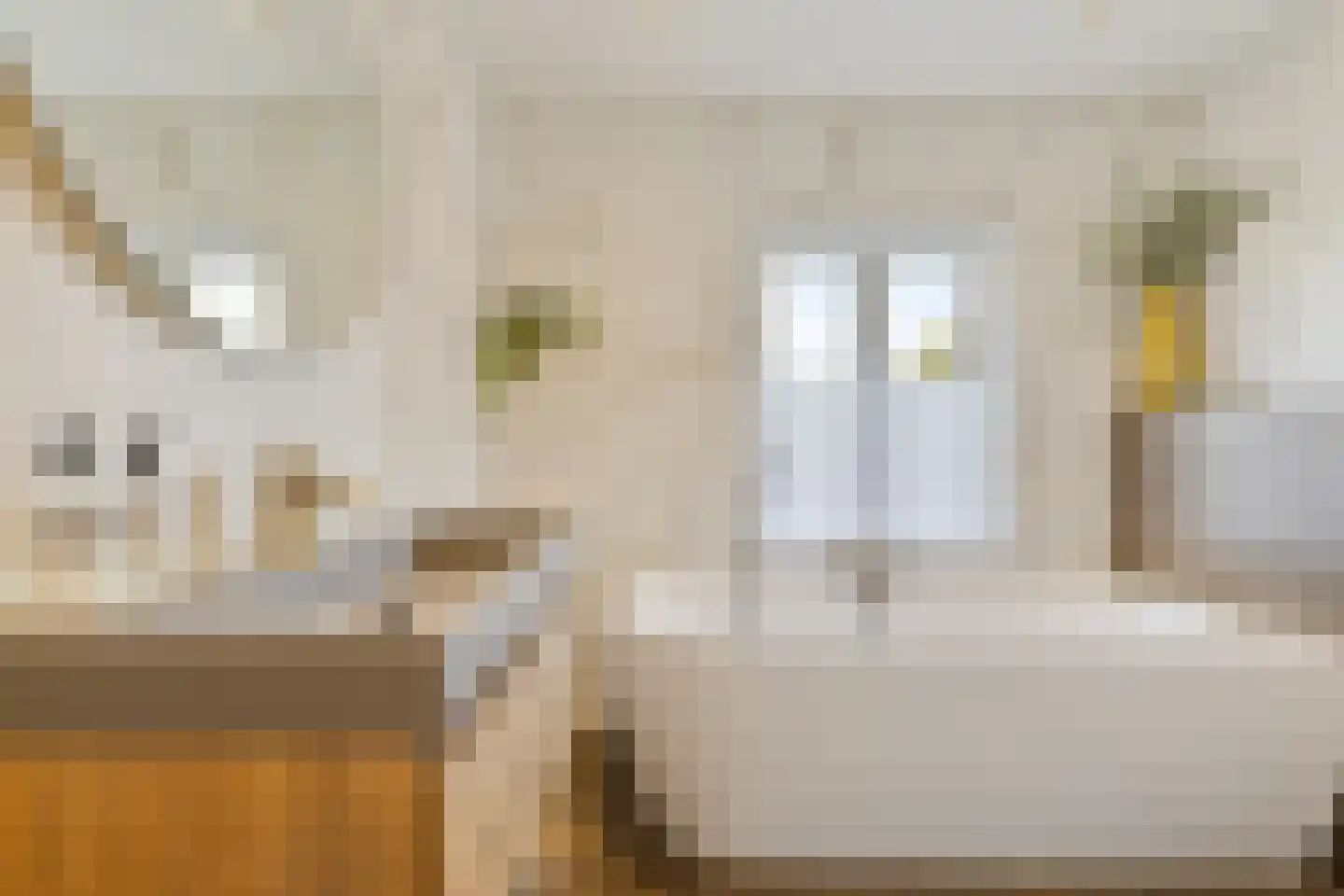 Emmalaan 57 Oss thumbnail 25
