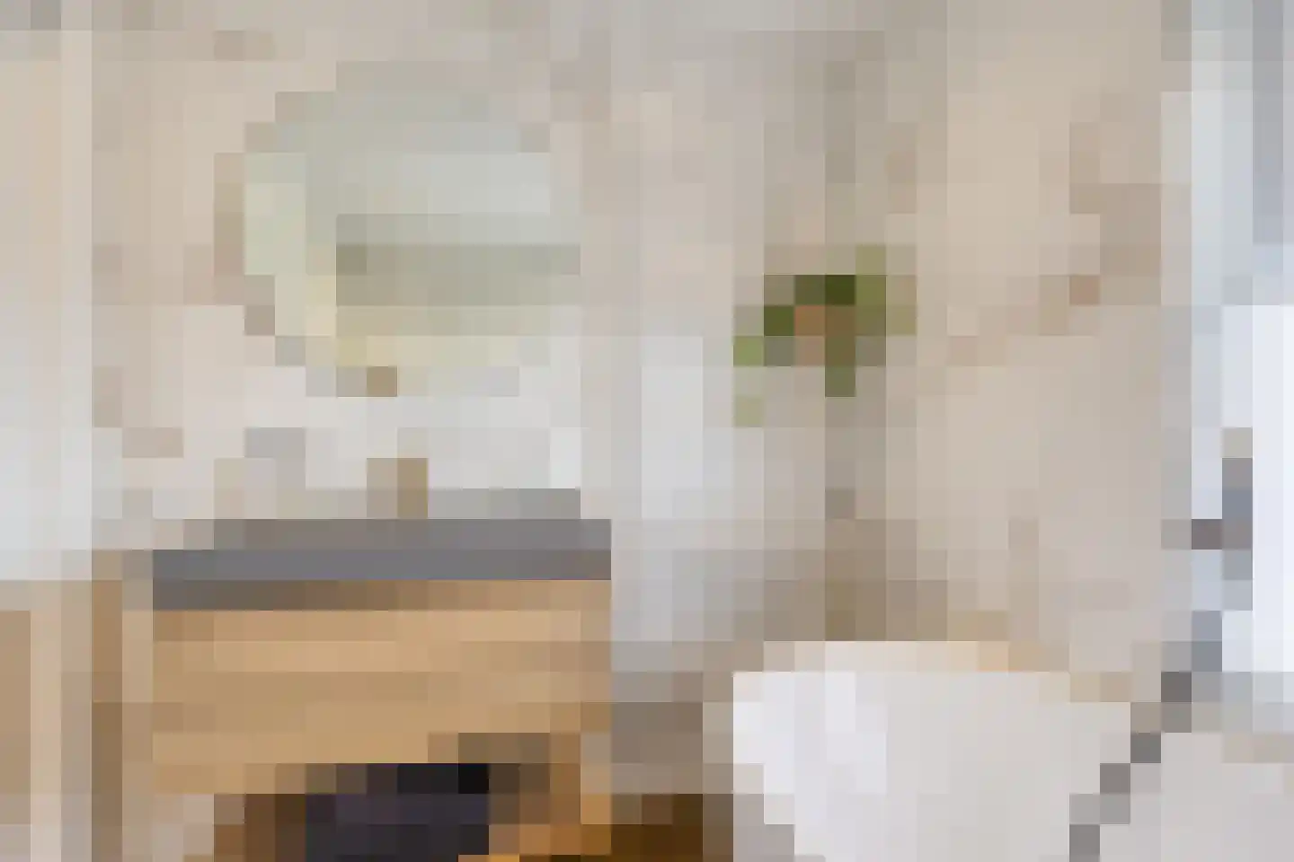 Emmalaan 57 Oss thumbnail 26