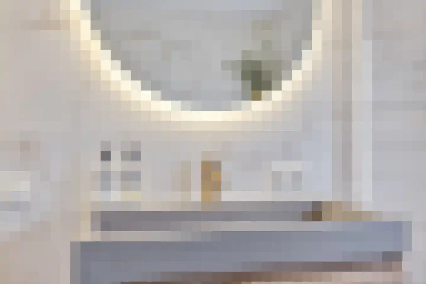 Emmalaan 57 Oss thumbnail 27