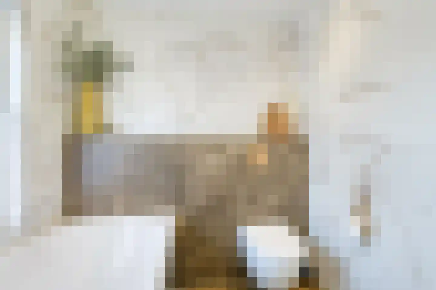 Emmalaan 57 Oss thumbnail 28
