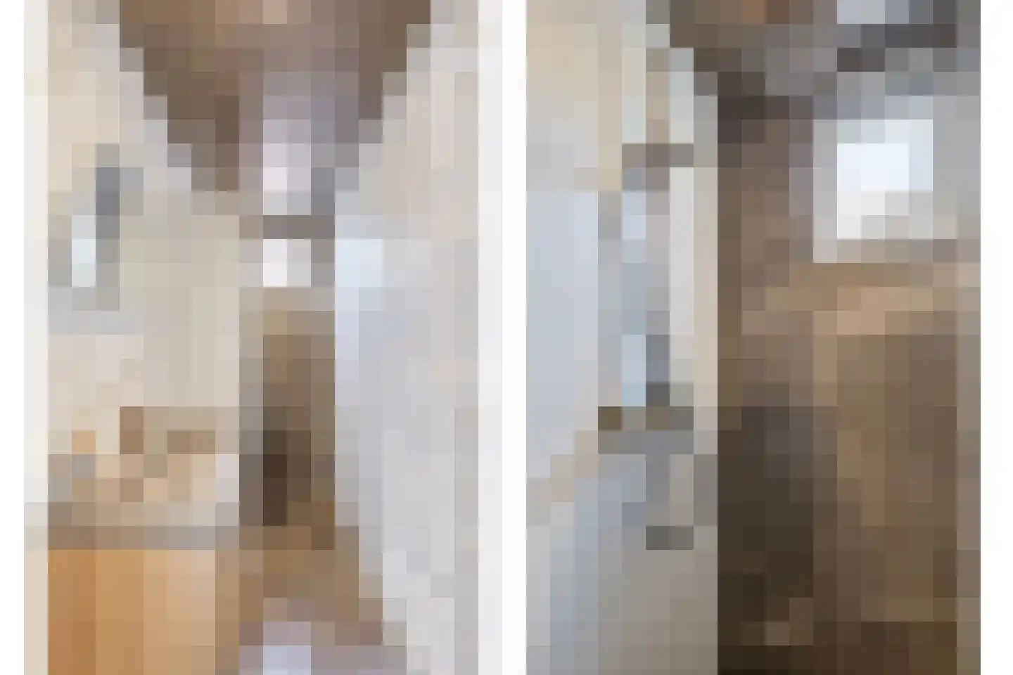 Emmalaan 57 Oss thumbnail 29