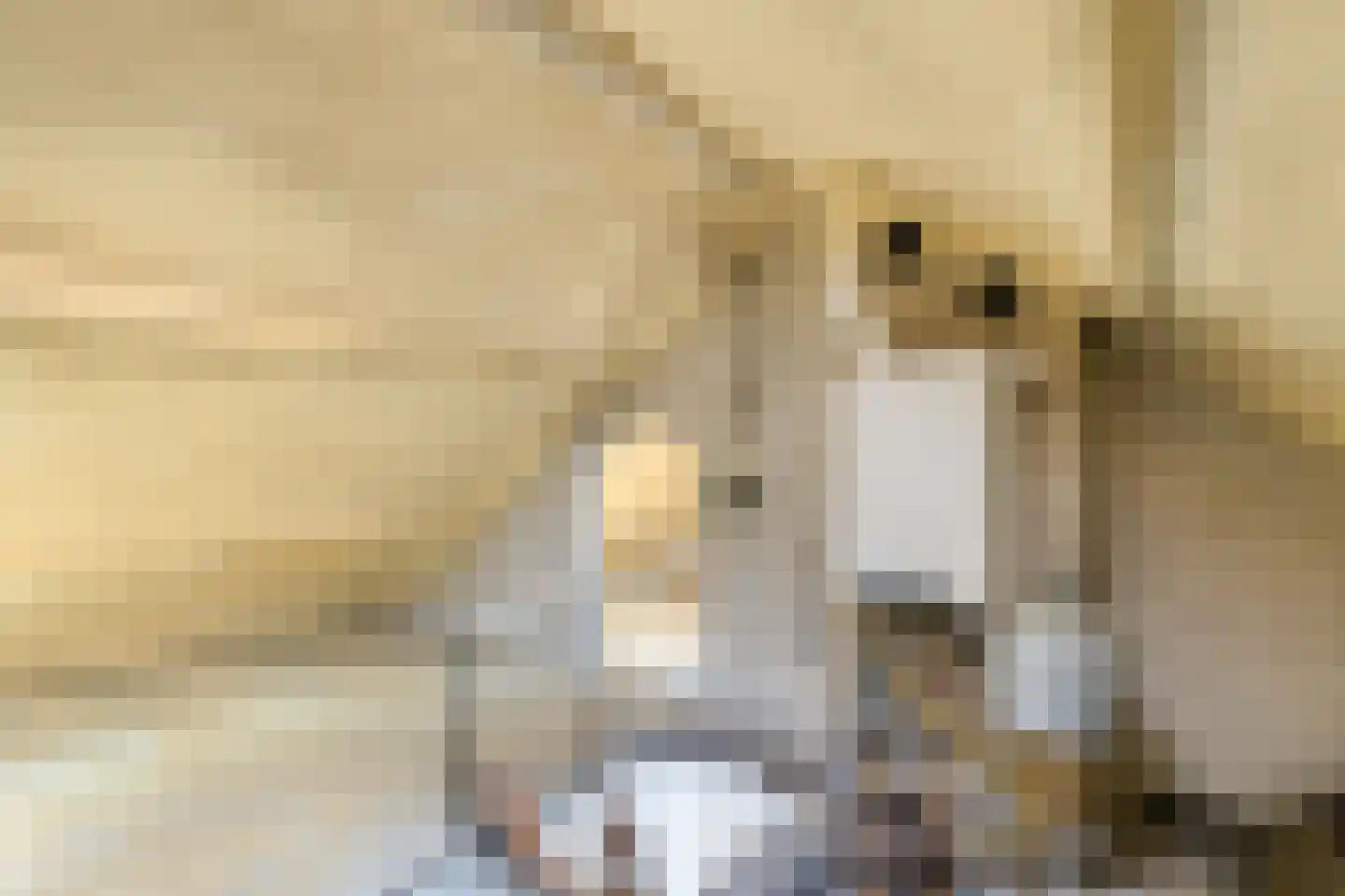 Emmalaan 57 Oss thumbnail 30