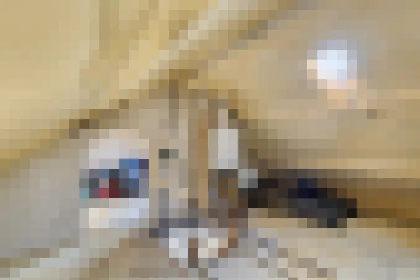Emmalaan 57 Oss thumbnail 31