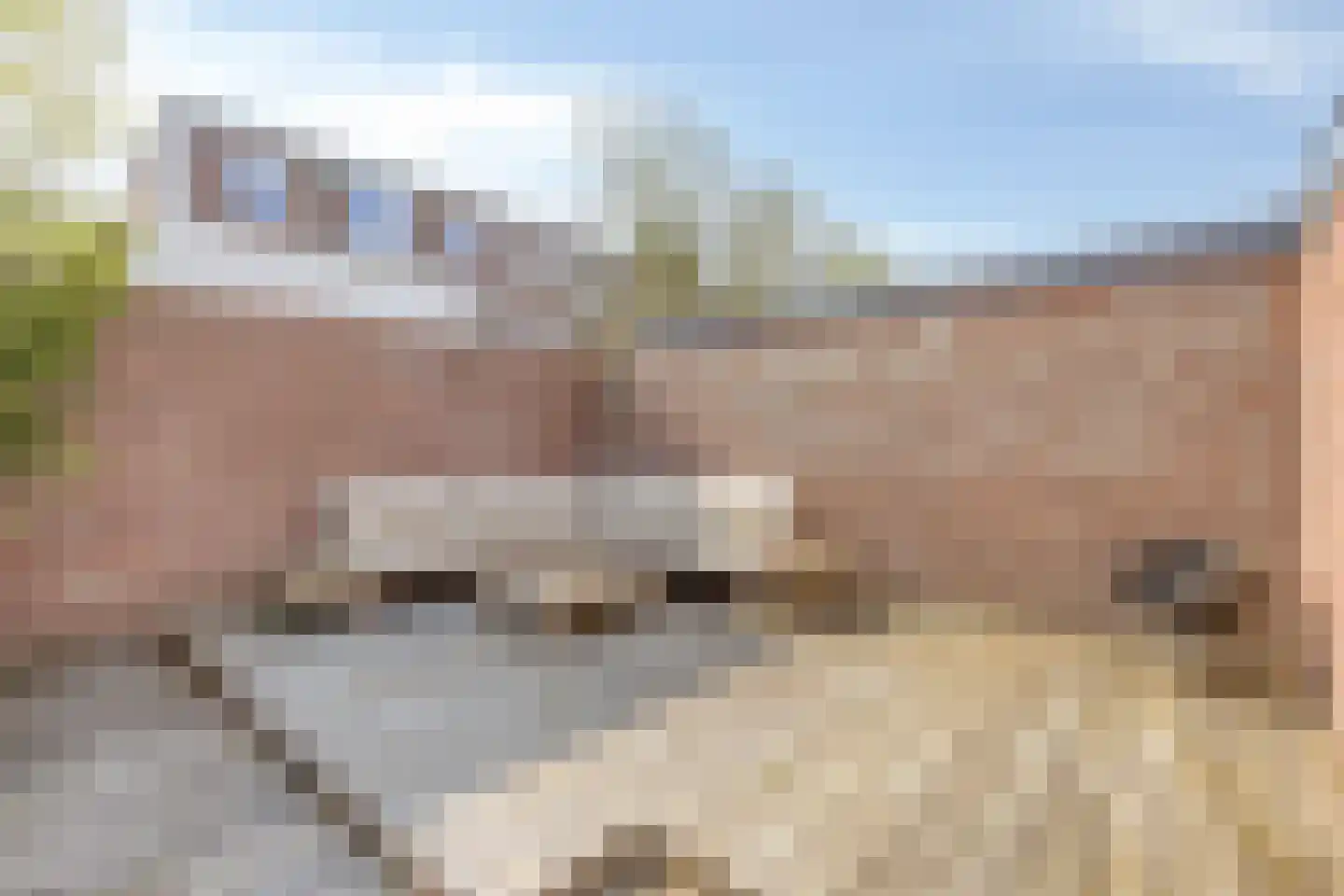 Emmalaan 57 Oss thumbnail 37