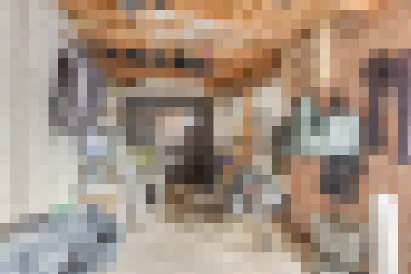 Emmalaan 57 Oss thumbnail 43