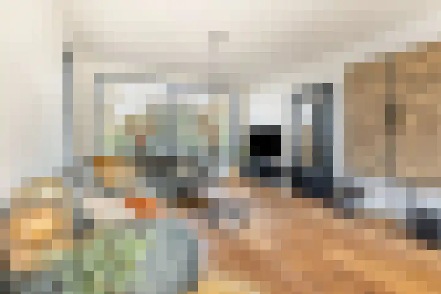 Emmalaan 57 Oss thumbnail 6