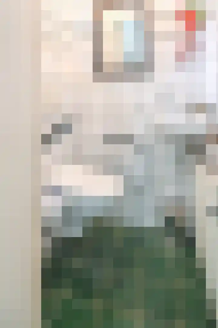 Emmalaan 6 B Baarn thumbnail 36