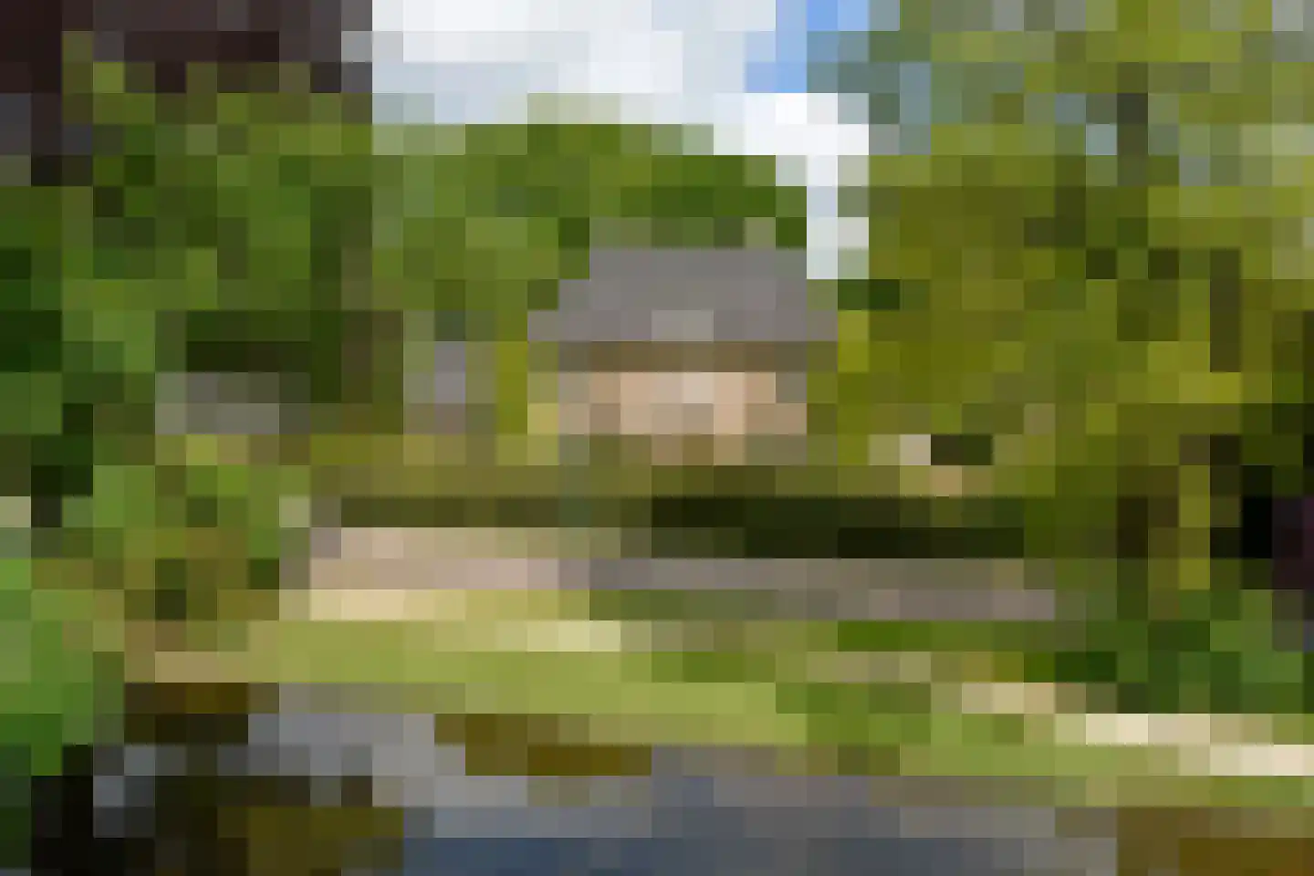 Emmalaan 6 B Baarn thumbnail 44