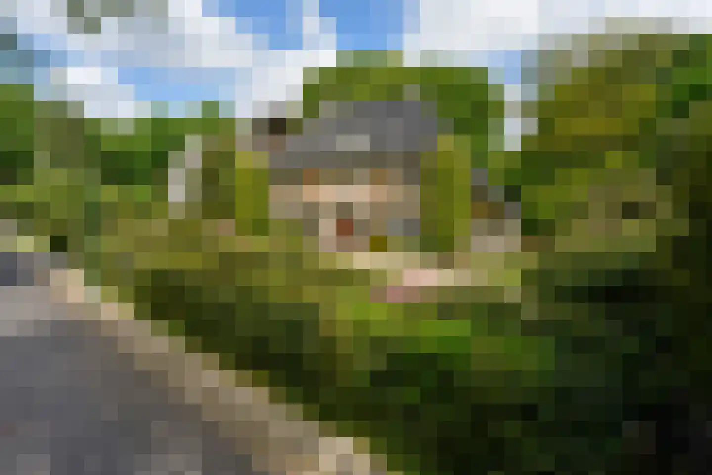 Emmalaan 6 B Baarn thumbnail 45