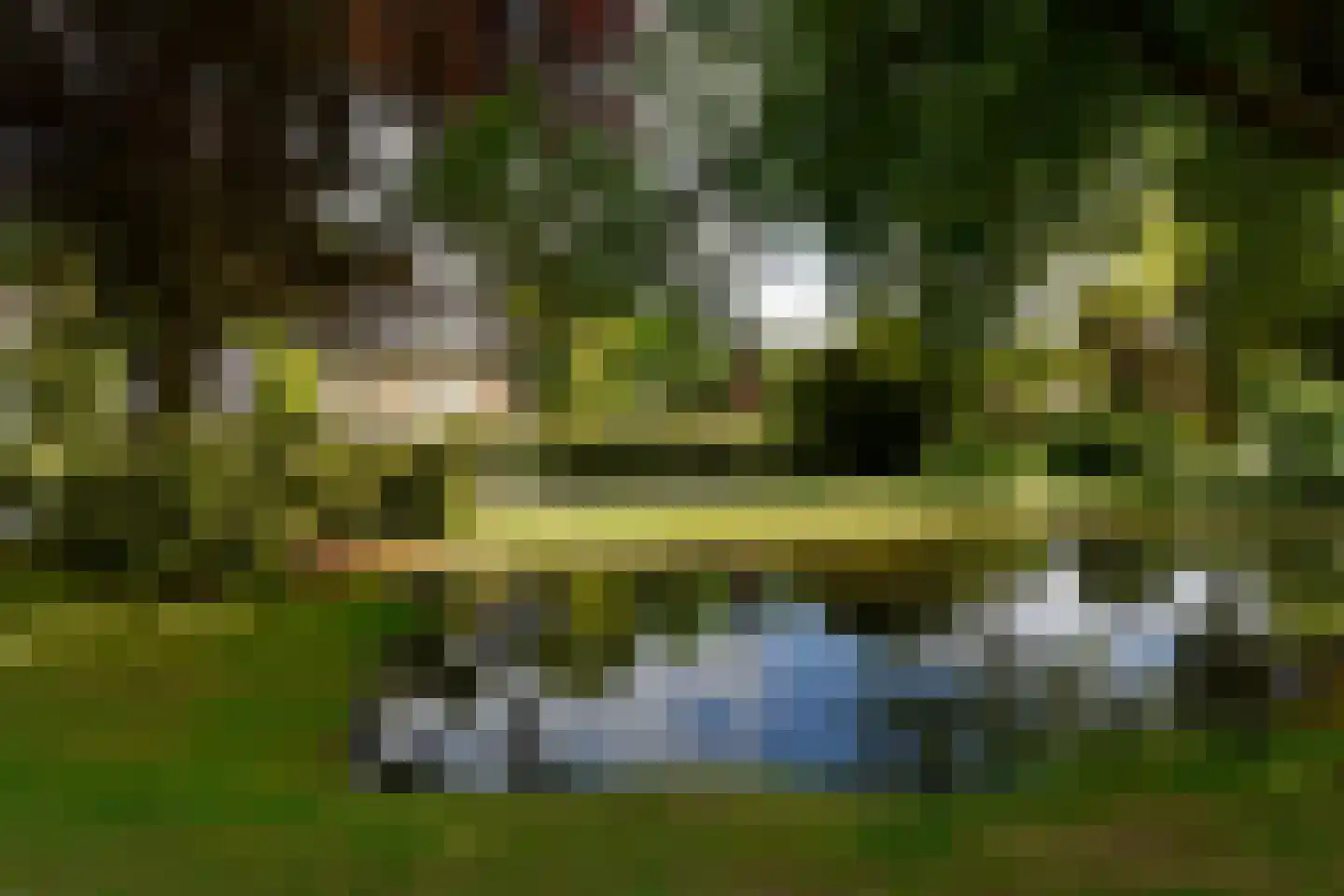 Emmalaan 6 B Baarn thumbnail 47