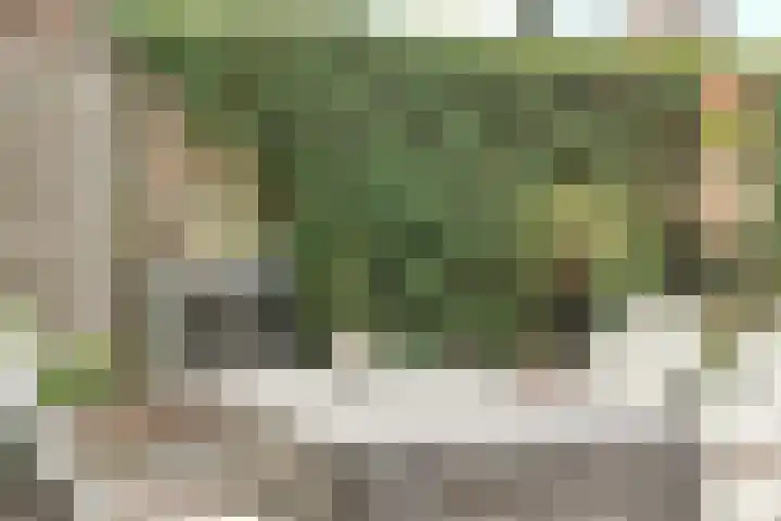 Emmalaan 6 Geldrop thumbnail 31