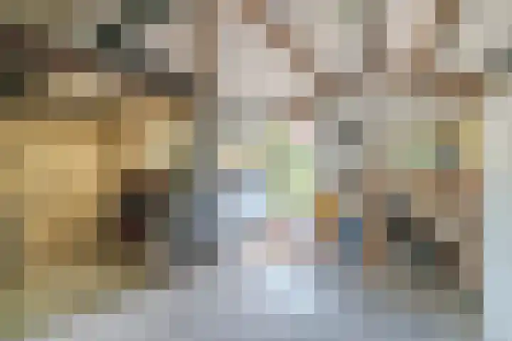 Emmalaan 6 Geldrop thumbnail 39