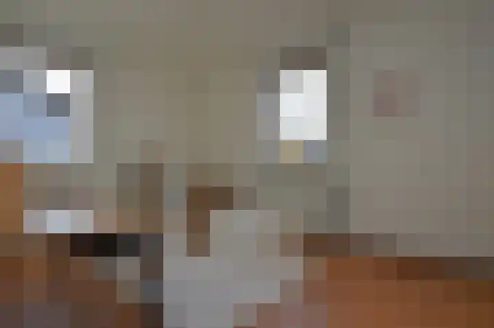 Emmalaan 6 Geldrop thumbnail 45