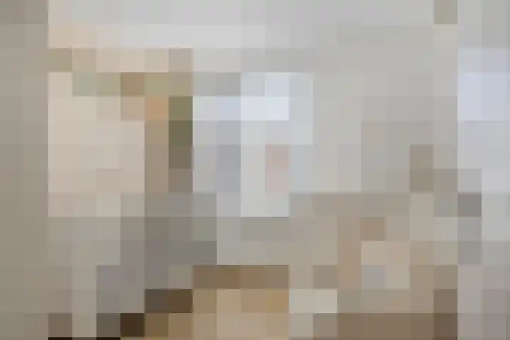 Emmalaan 6 Geldrop thumbnail 5