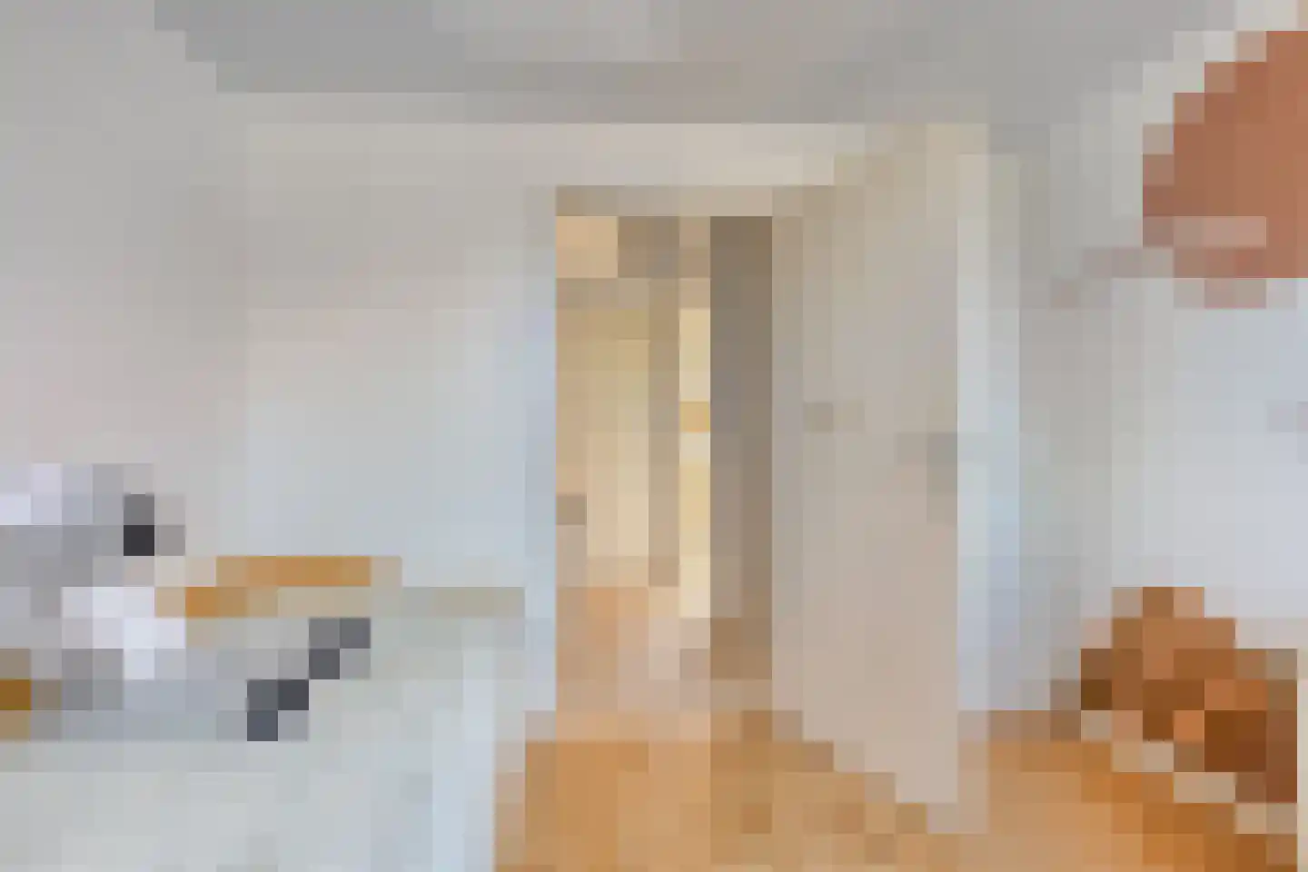 Emmalaan 6 Woubrugge thumbnail 23