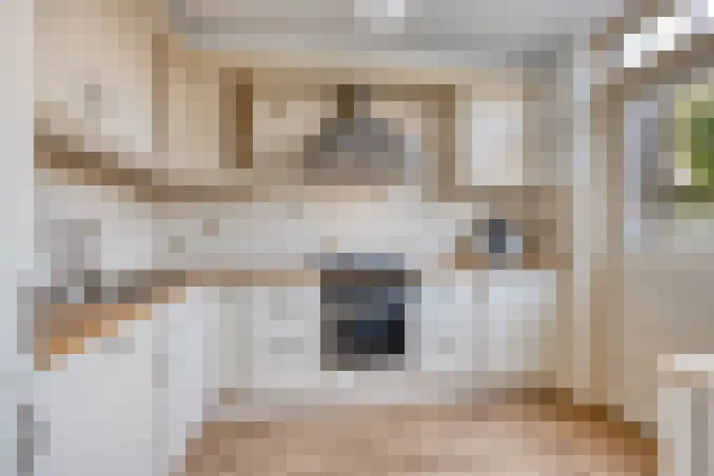 Emmalaan 6 Woubrugge thumbnail 4
