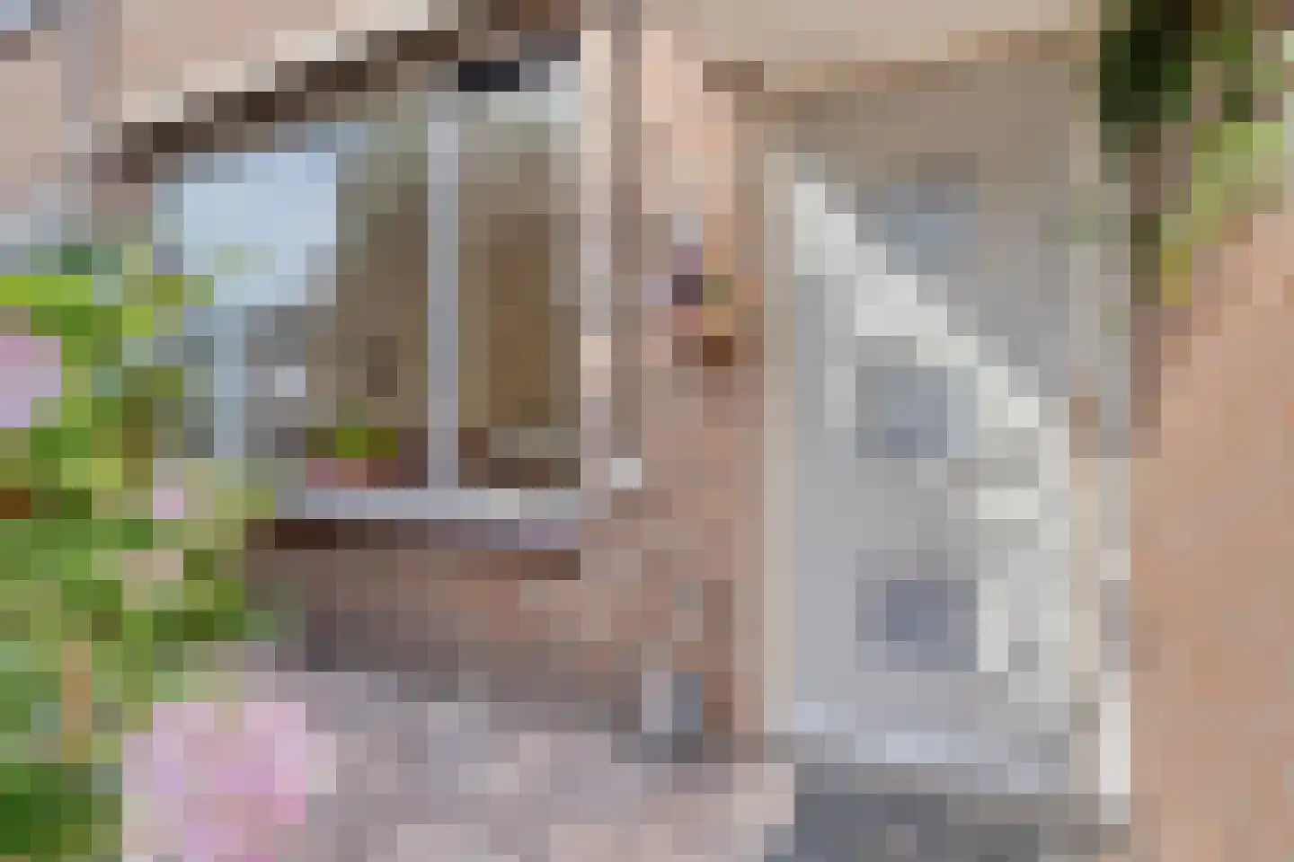 Emmalaan 6 Woubrugge thumbnail 7