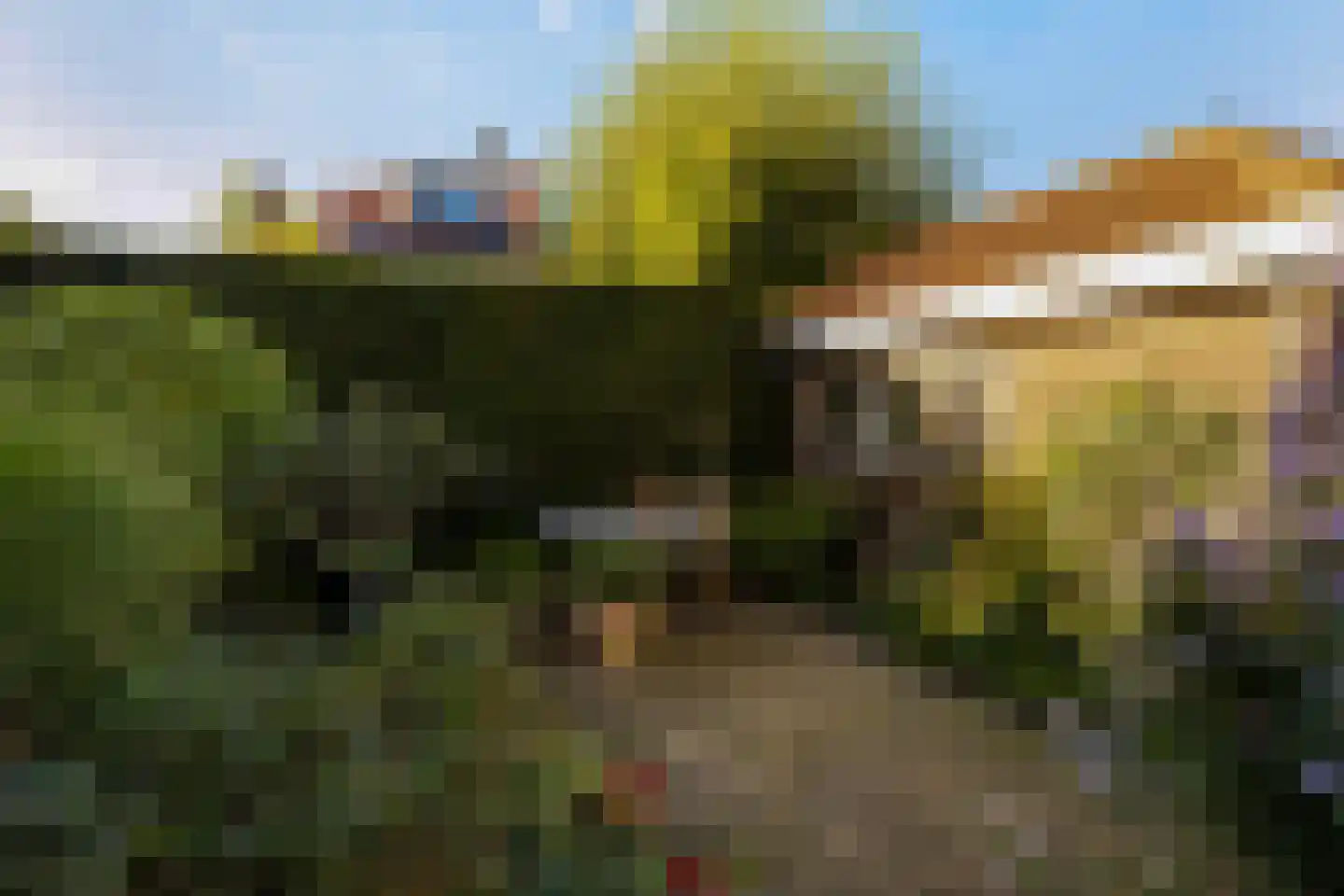 Emmalaan 65 Rotterdam thumbnail 29