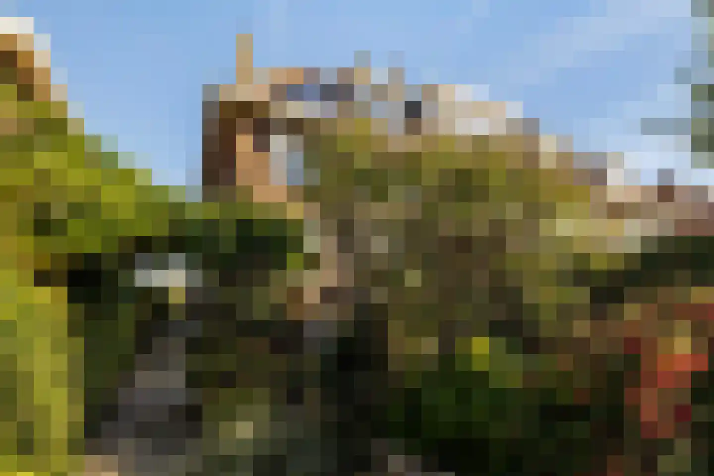 Emmalaan 65 Rotterdam thumbnail 31