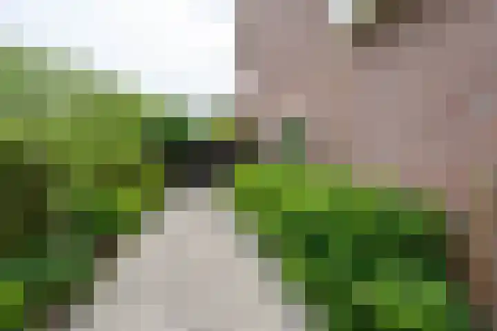 Emmalaan 66 Woubrugge thumbnail 27