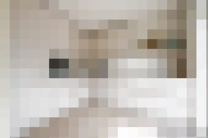 Emmalaan 66 Woubrugge thumbnail 8