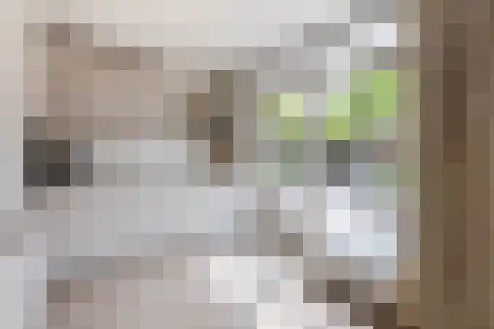 Emmalaan 66 Woubrugge thumbnail 9