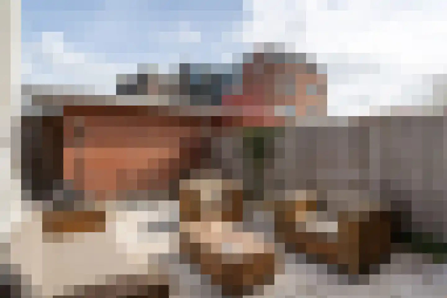 Emmalaan 68 A Alphen aan den Rijn thumbnail 4