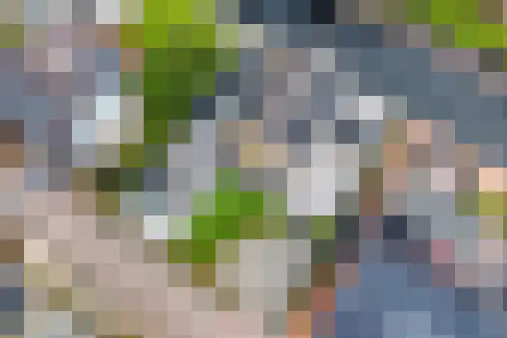 Emmalaan 7 Kaag thumbnail 15
