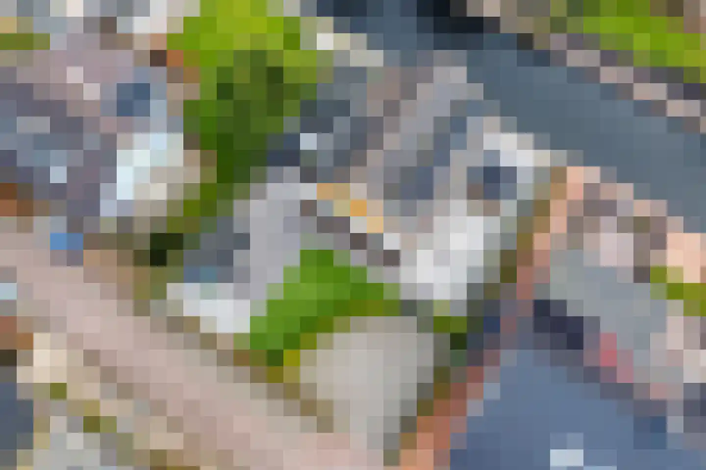 Emmalaan 7 Kaag thumbnail 17