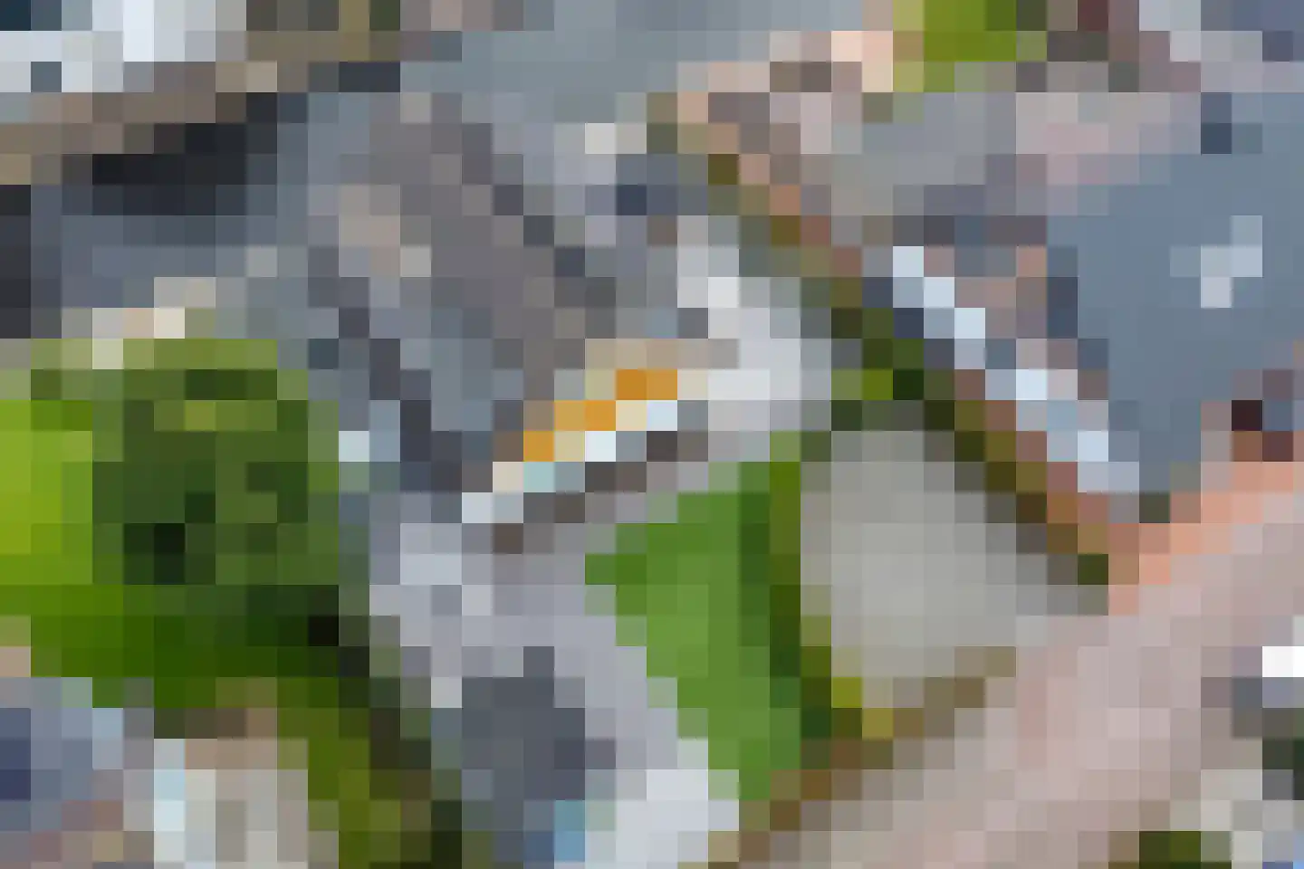 Emmalaan 7 Kaag foto 2
