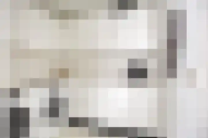 Emmalaan 7 Kaag thumbnail 26