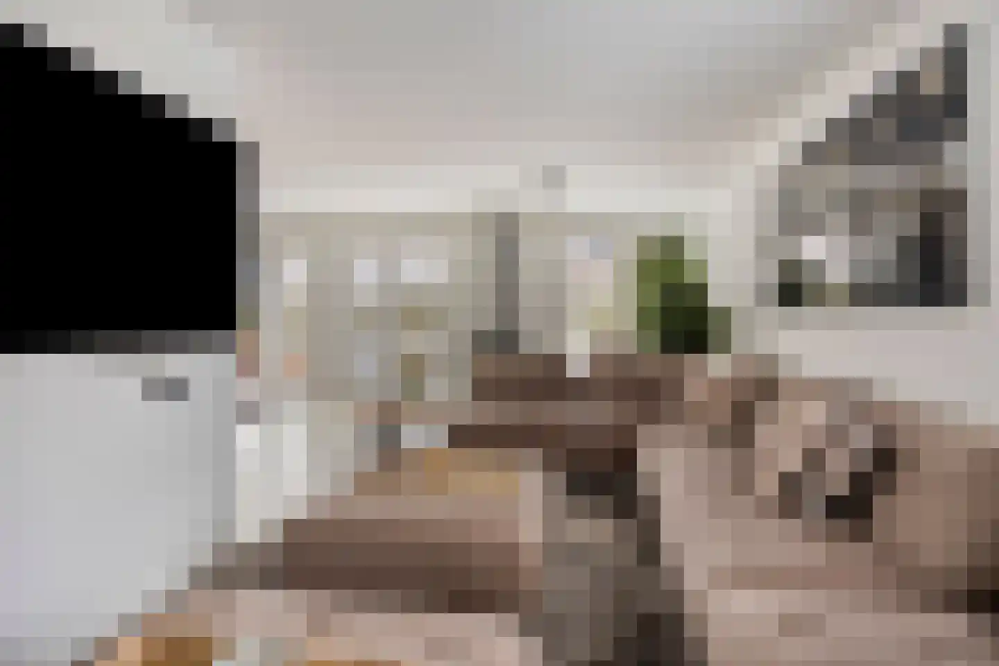 Emmalaan 7 Kaag thumbnail 31