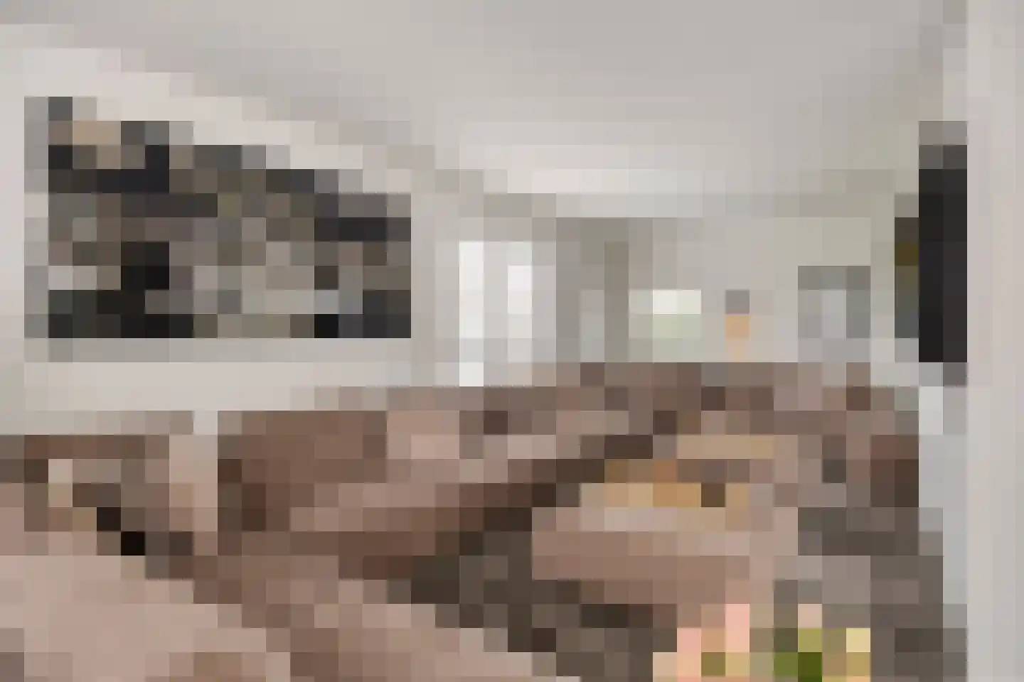 Emmalaan 7 Kaag thumbnail 32