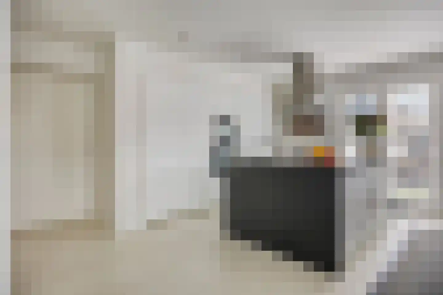 Emmalaan 7 Kaag thumbnail 37