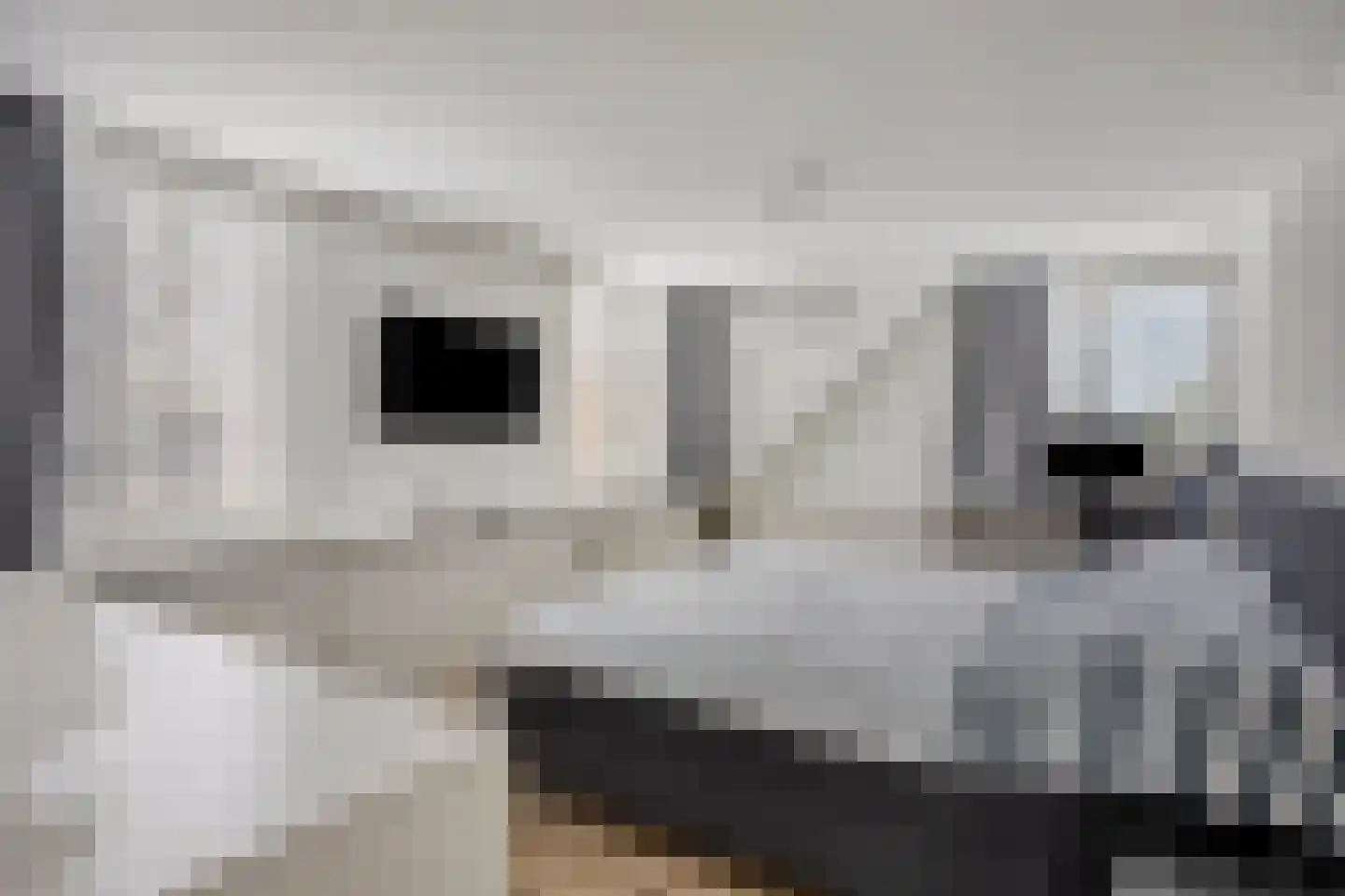 Emmalaan 7 Kaag thumbnail 40