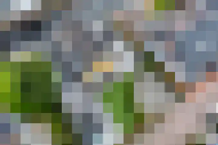 Emmalaan 7 Kaag thumbnail 6