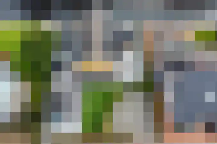 Emmalaan 7 Kaag thumbnail 7