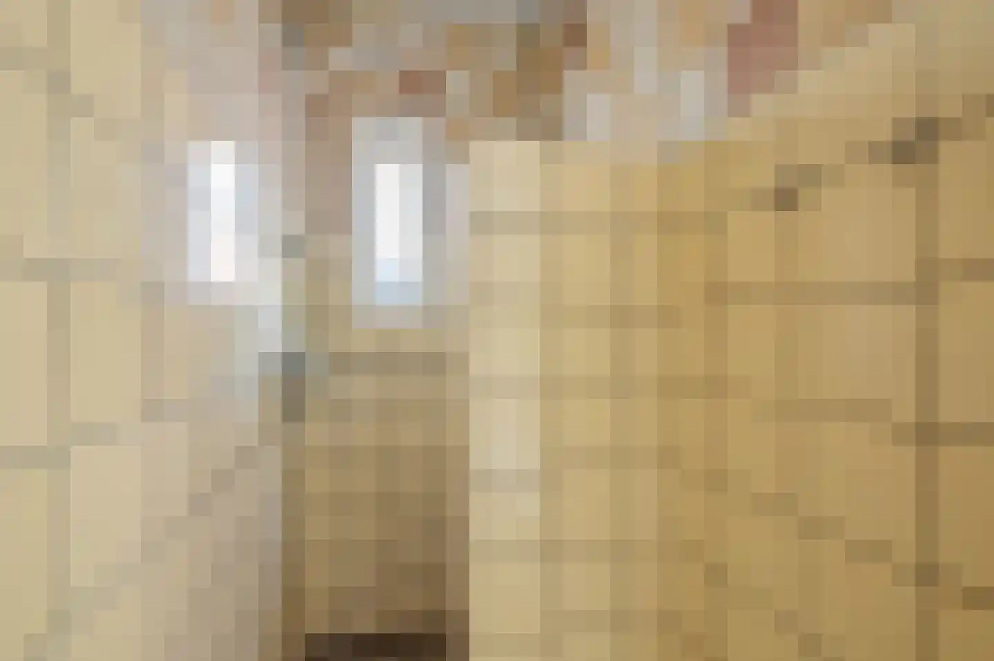 Emmalaan 7 Rhenen thumbnail 29