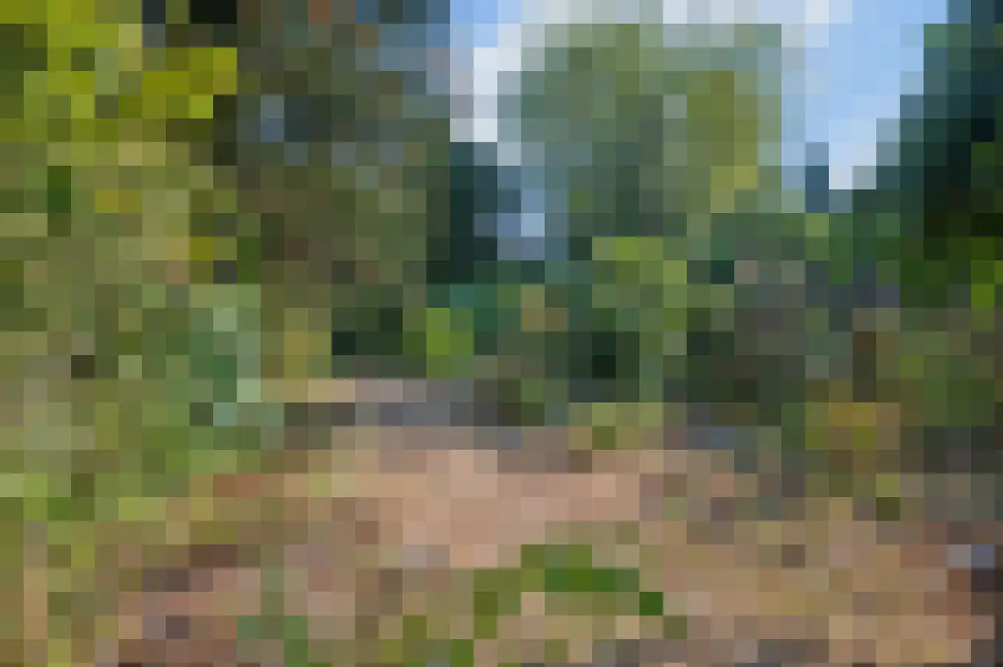 Emmalaan 7 Rhenen thumbnail 32