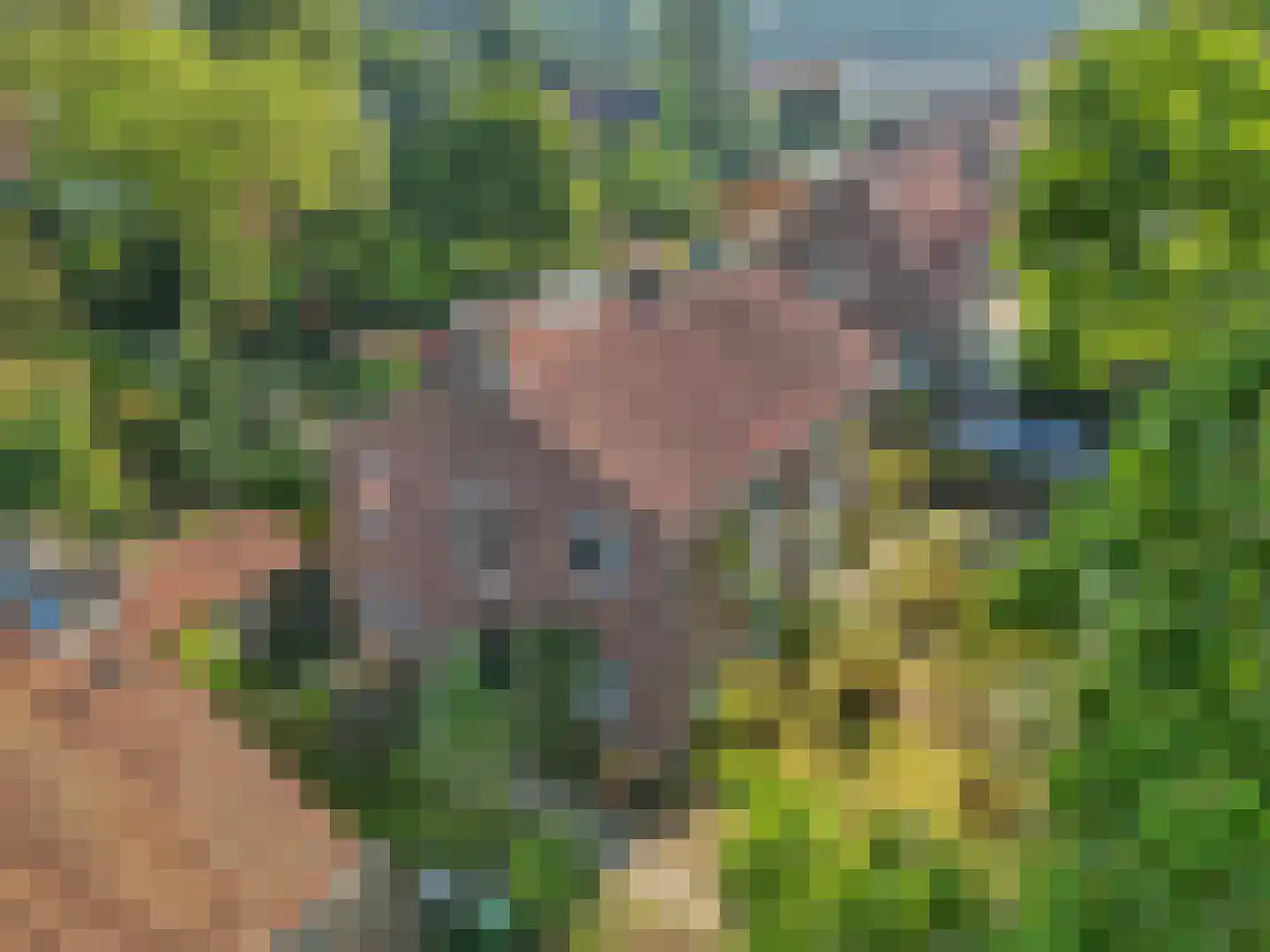 Emmalaan 7 Rhenen thumbnail 36