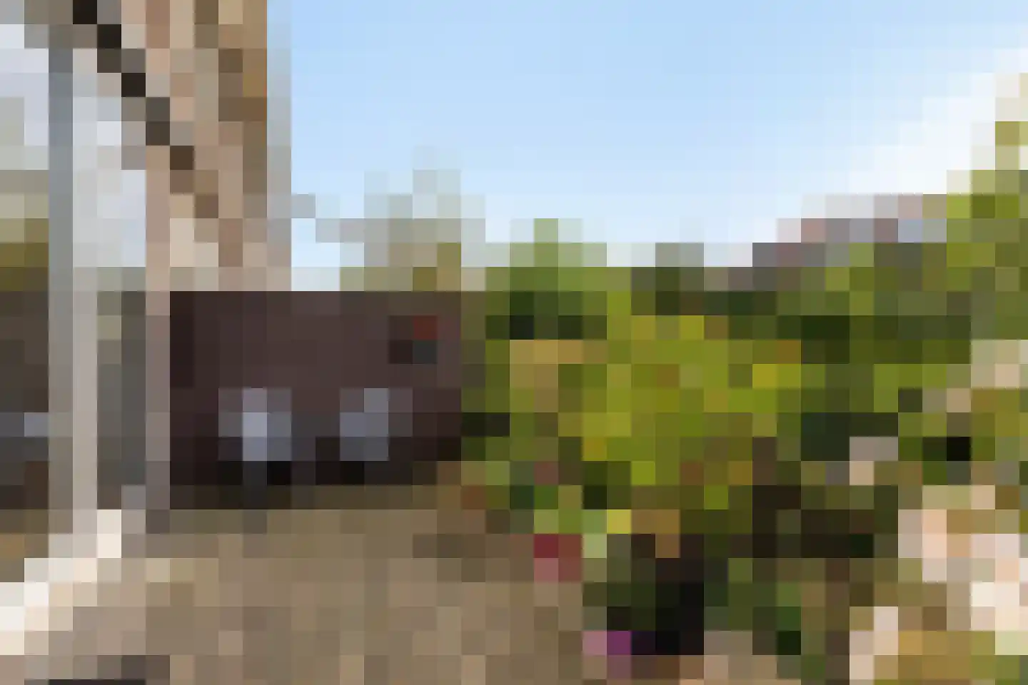 Emmalaan 71 Rotterdam thumbnail 12