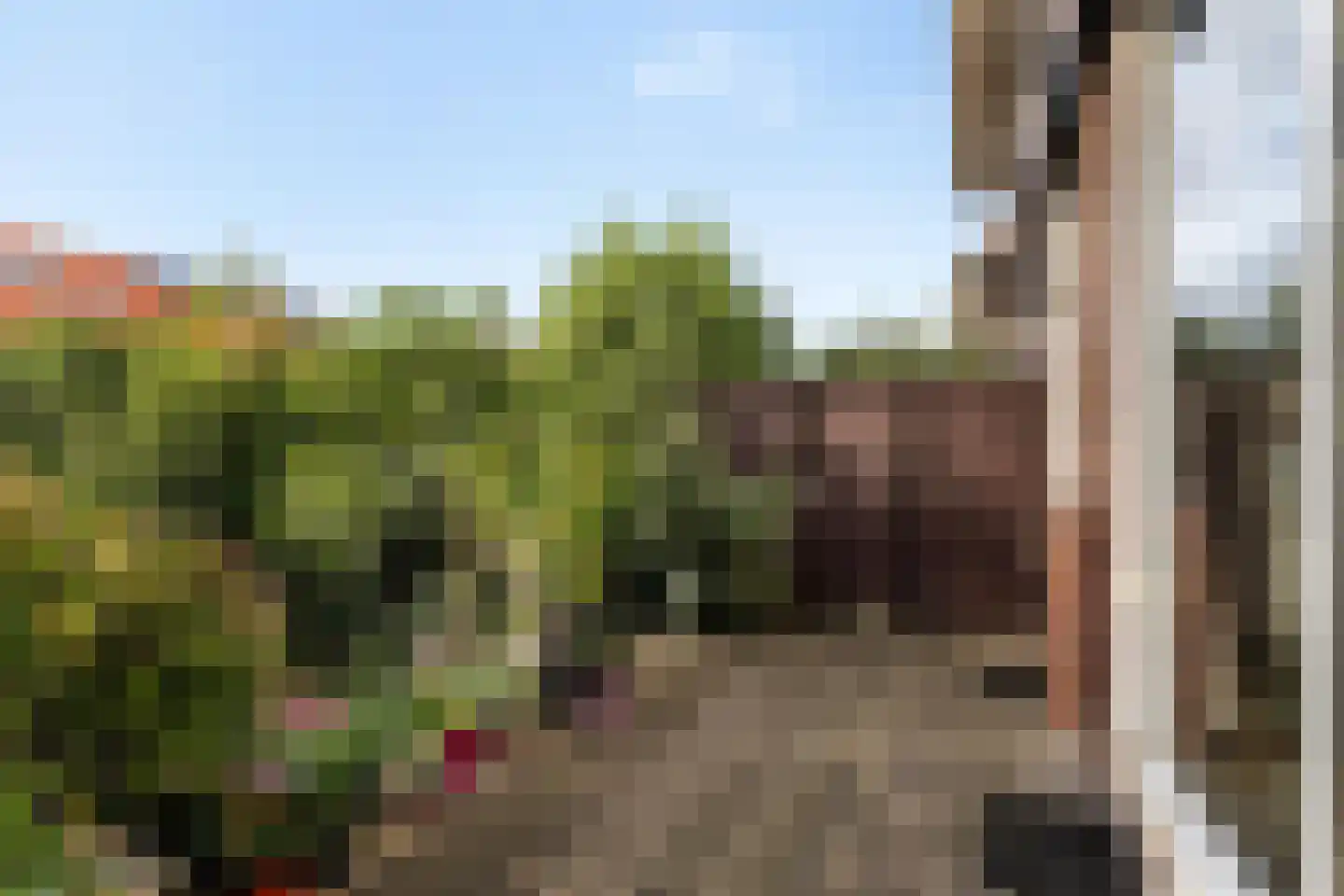 Emmalaan 71 Rotterdam thumbnail 13