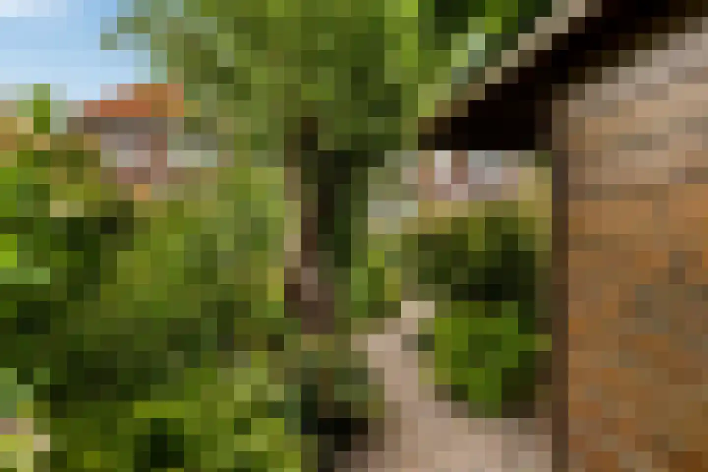 Emmalaan 71 Rotterdam thumbnail 33