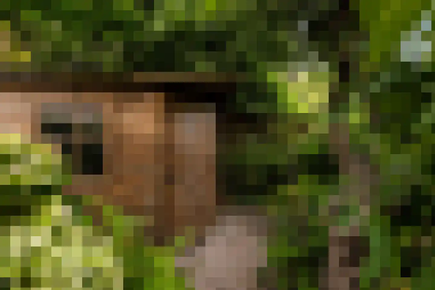 Emmalaan 71 Rotterdam thumbnail 34