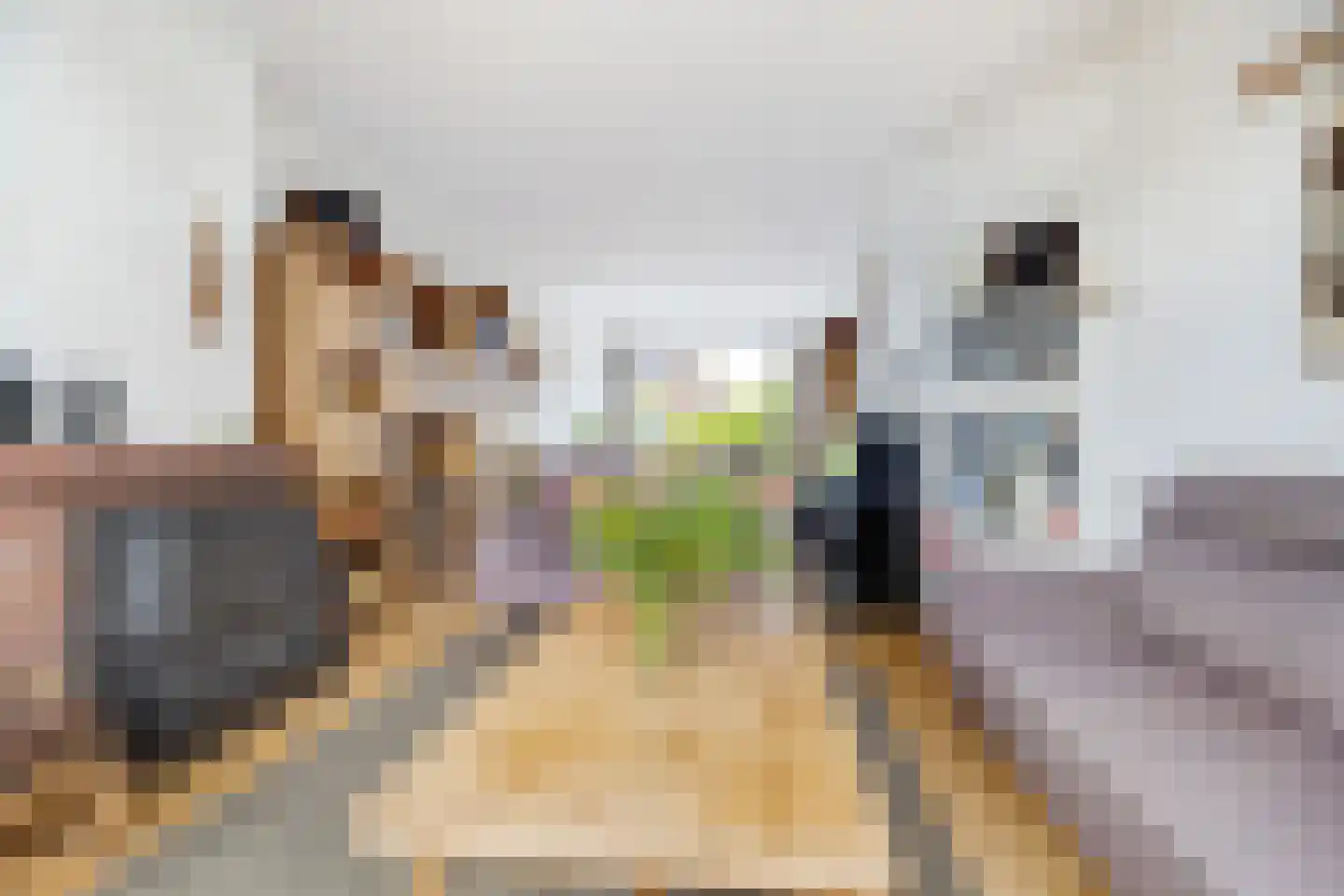 Emmalaan 71 Rotterdam thumbnail 8
