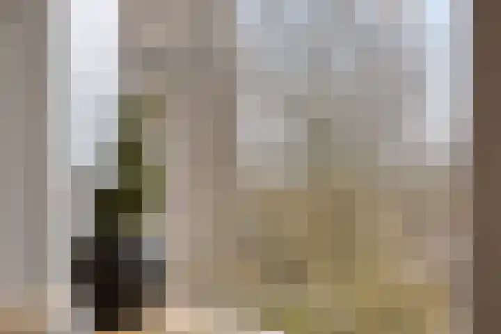Emmalaan 71 Zutphen thumbnail 15